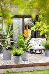 greensense aqua care rond 35cm licht beton